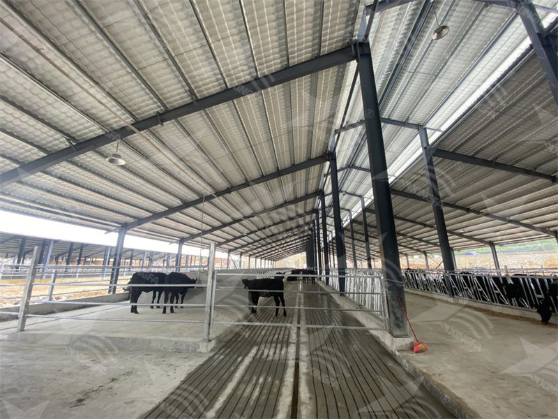 樹脂瓦：養(yǎng)殖場的夏日守護(hù)者，為小動(dòng)物打造涼爽樂園